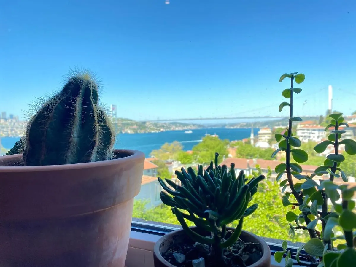 Delightful Apartment With Backyard And Bosphorus View In Uskudar İstanbul 0*,
