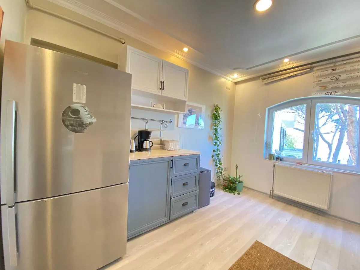 Delightful Apartment With Backyard And Bosphorus View In Uskudar İstanbul