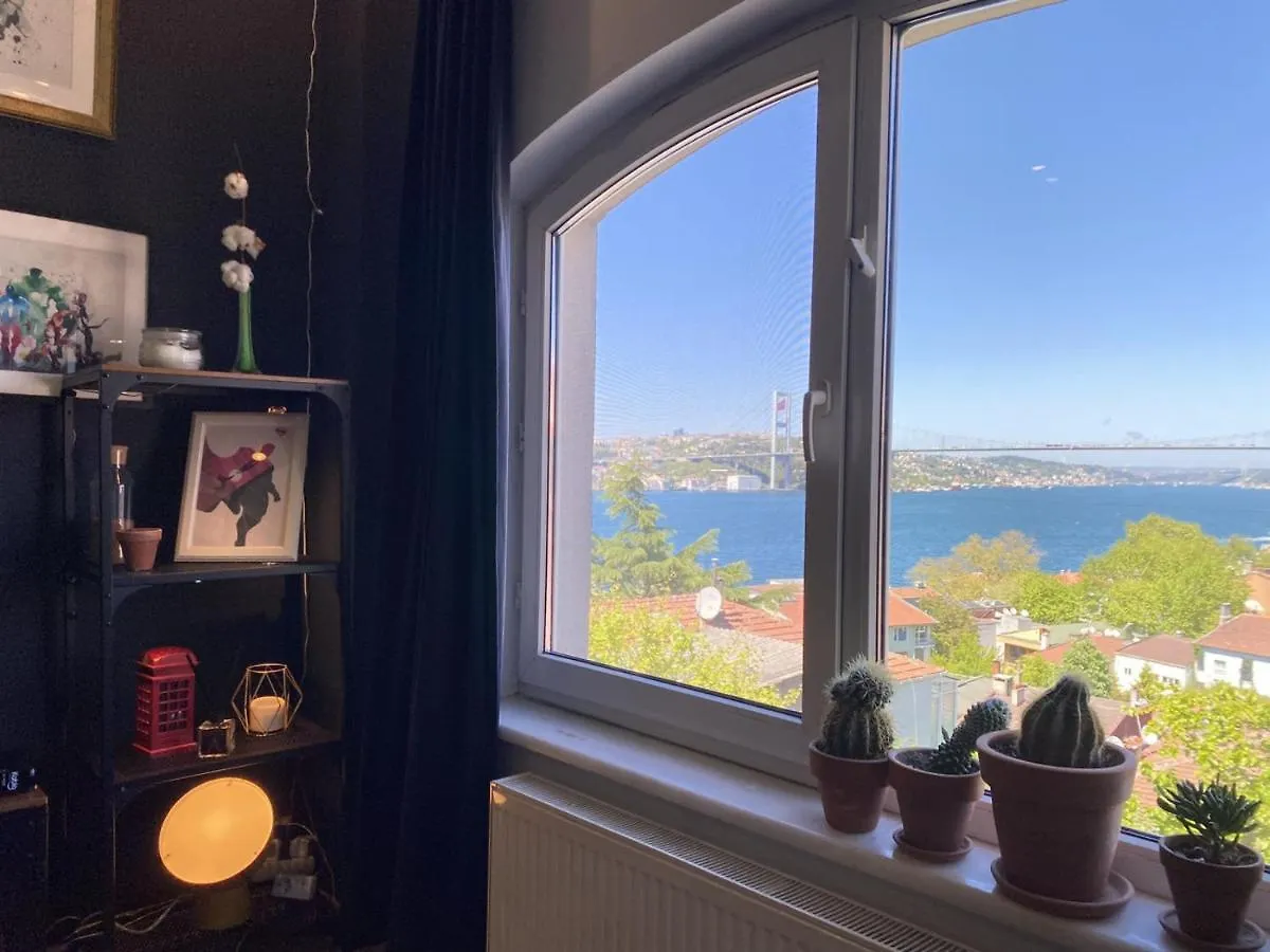 Delightful Apartment With Backyard And Bosphorus View In Uskudar İstanbul