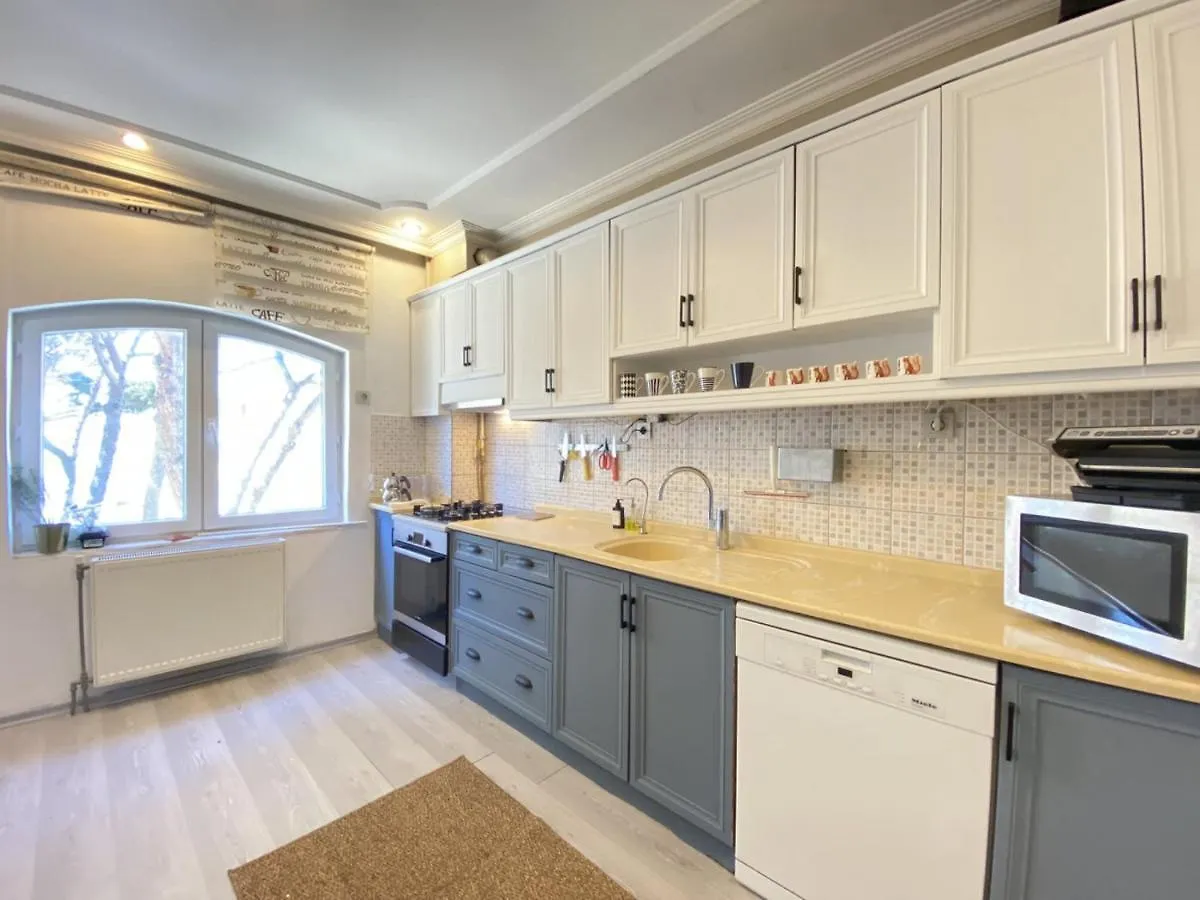 Delightful Apartment With Backyard And Bosphorus View In Uskudar İstanbul Türkiye