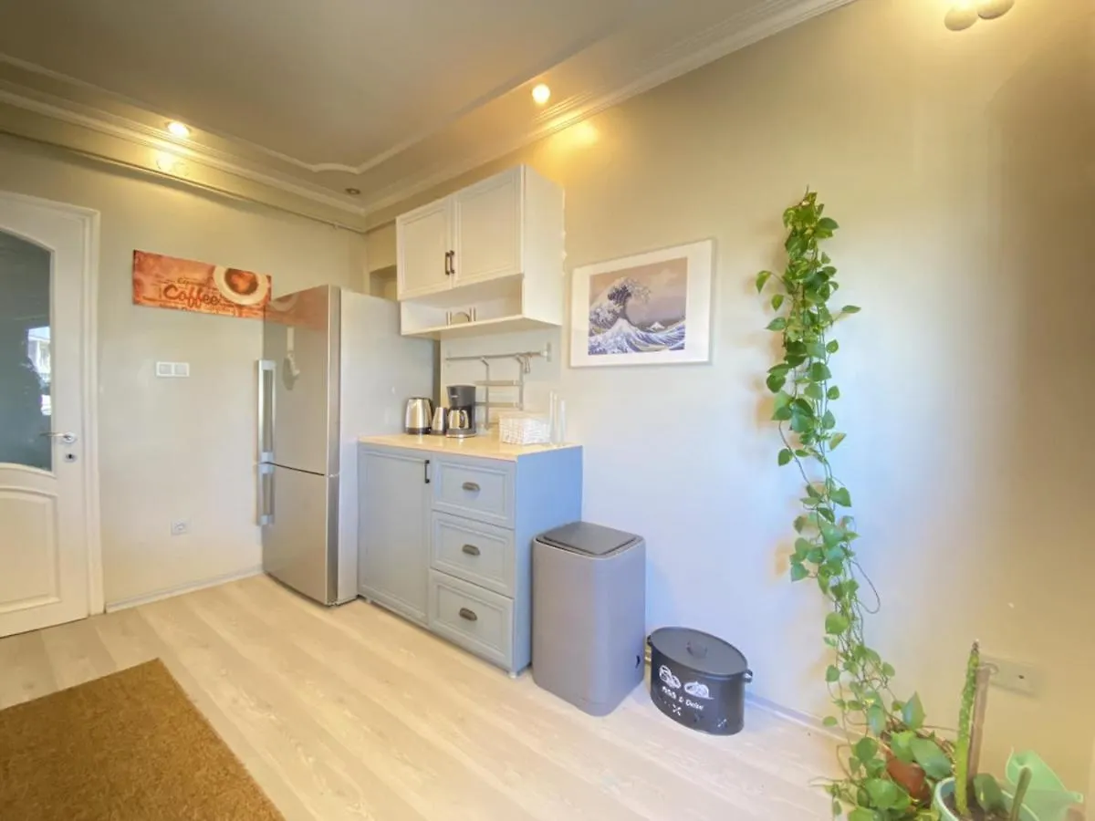 Delightful Apartment With Backyard And Bosphorus View In Uskudar İstanbul
